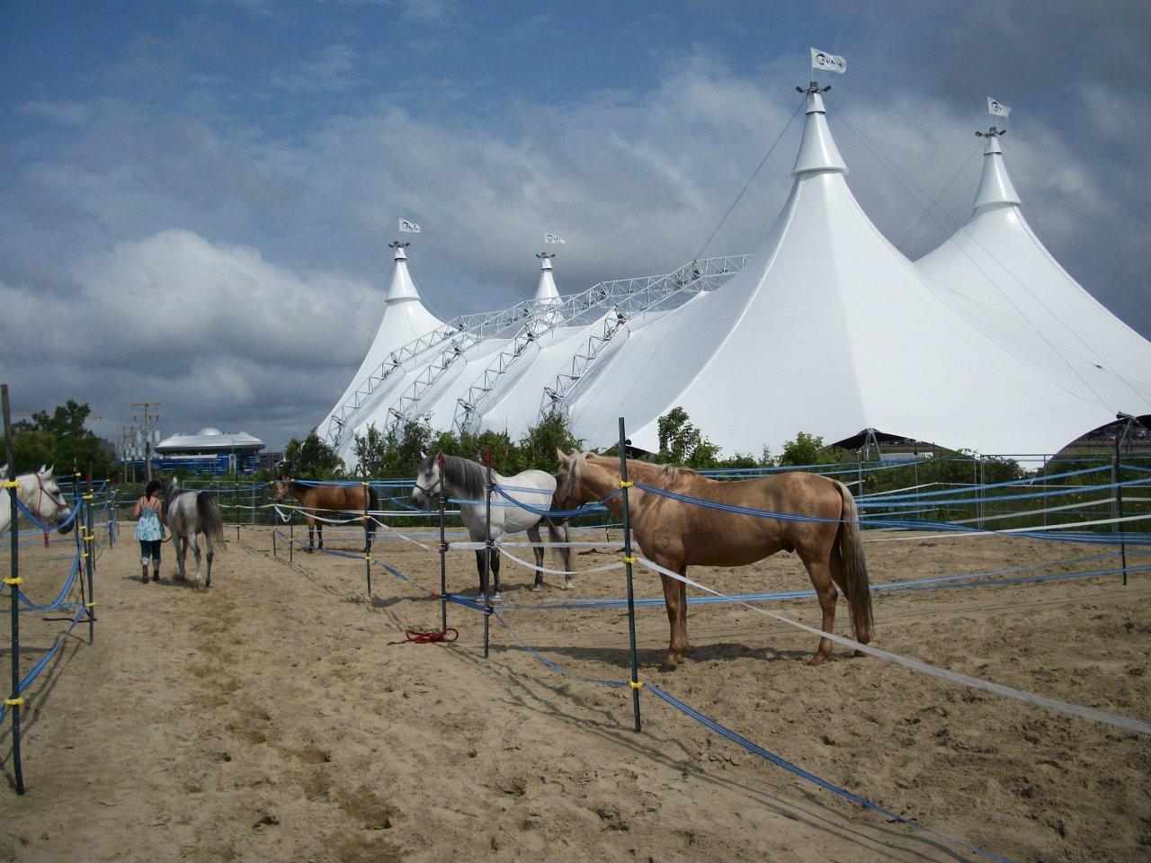 Asteo structures, toiles, ossatures, chapiteaux Lyon